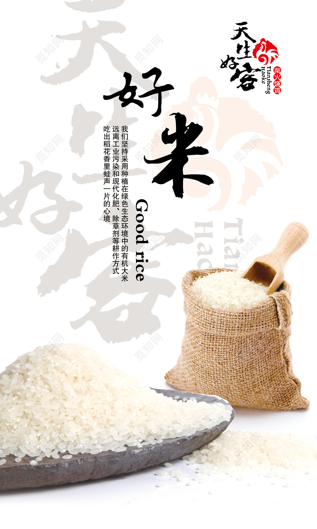 大米有机好米素雅白海报设计