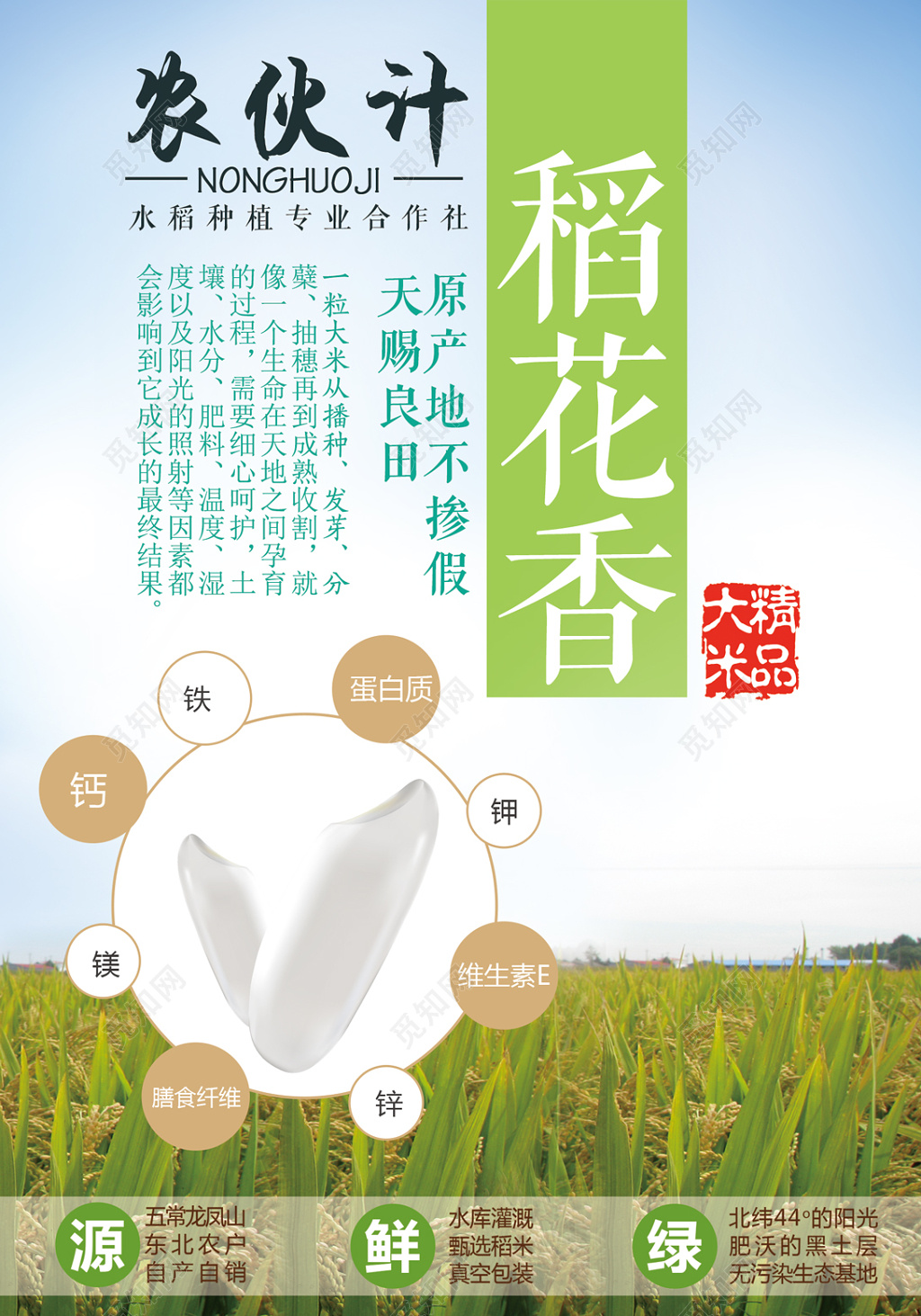 大米稻花香浅蓝色海报设计