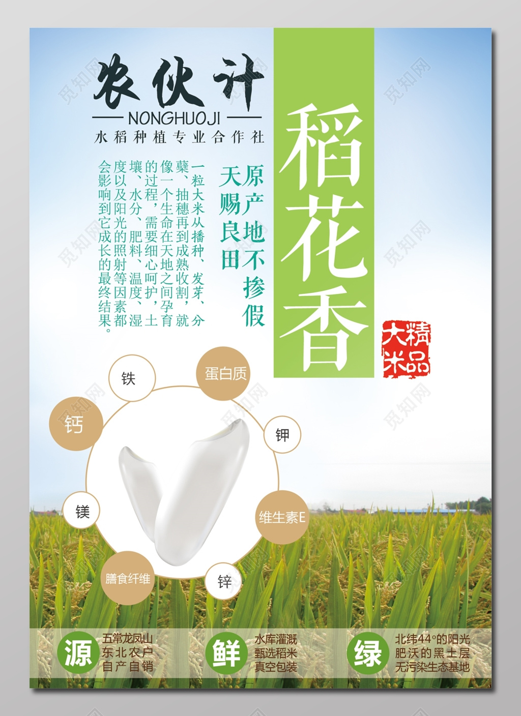 大米稻花香浅蓝色海报设计
