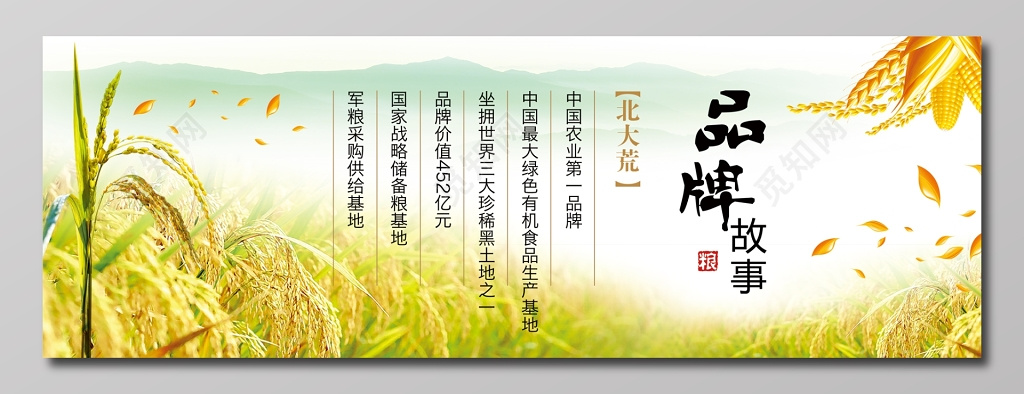 大米品牌故事青蓝色设计