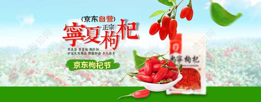 春天情亲蓝天宁夏枸杞京东枸杞节农副产品宣传展示板