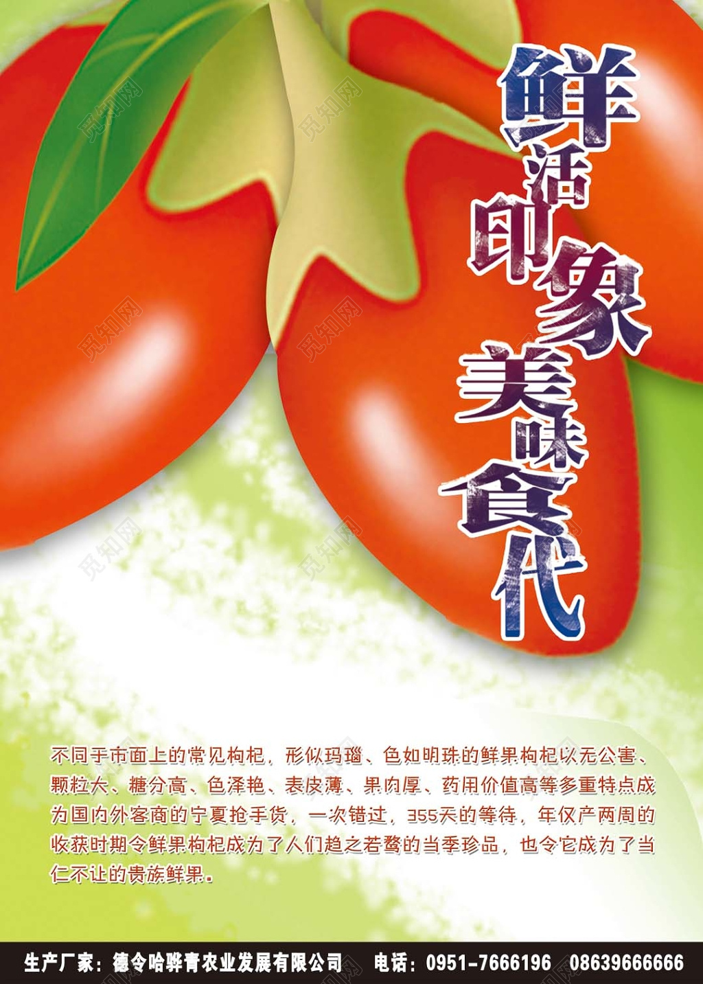 大气简约绿色背景鲜活印象美味食代枸杞农副产品宣传海报