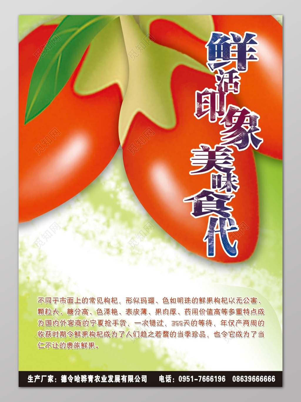 大气简约绿色背景鲜活印象美味食代枸杞农副产品宣传海报