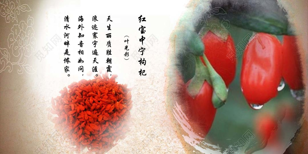 复古风花纹红宝中宁枸杞农副产品宣传展板