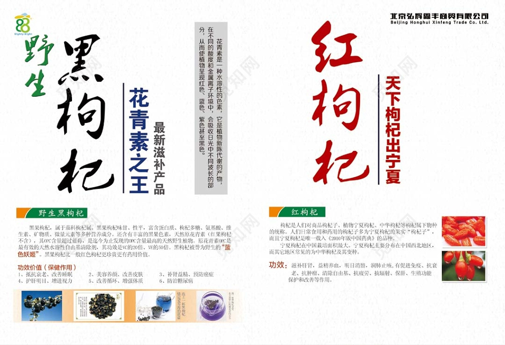 简约白色背景黑枸杞红枸杞农副产品介绍宣传折页