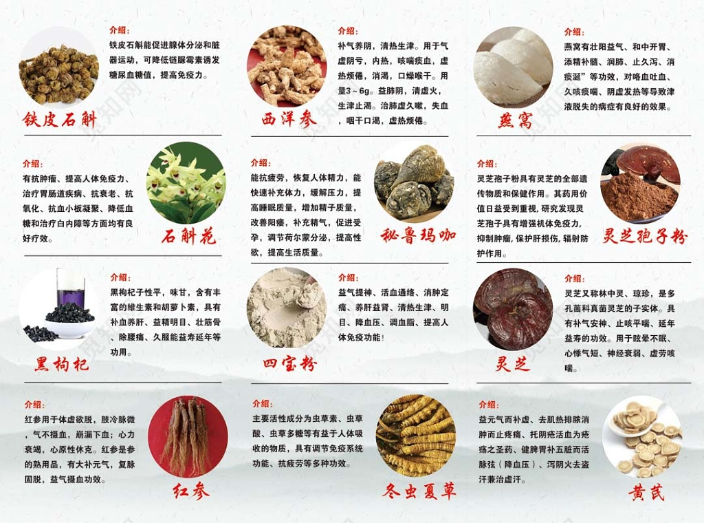中国风水墨四季养生珍品农副产品介绍宣传折页