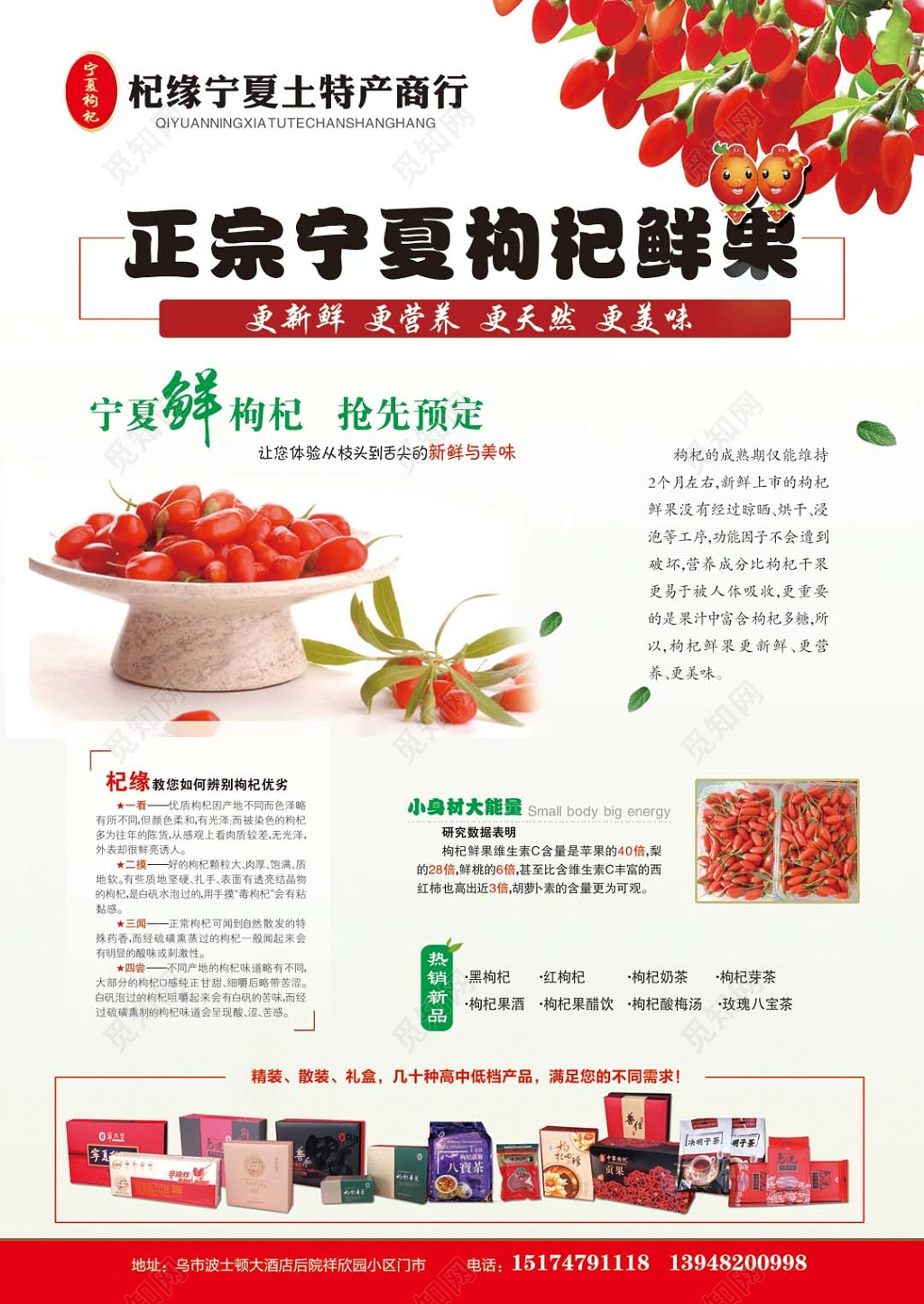 个性简约宁夏鲜枸杞农副产品鲜果预定页