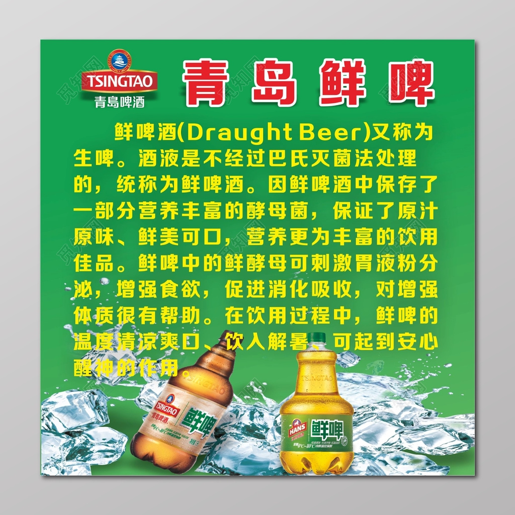 青岛啤酒展架青岛鲜啤海报