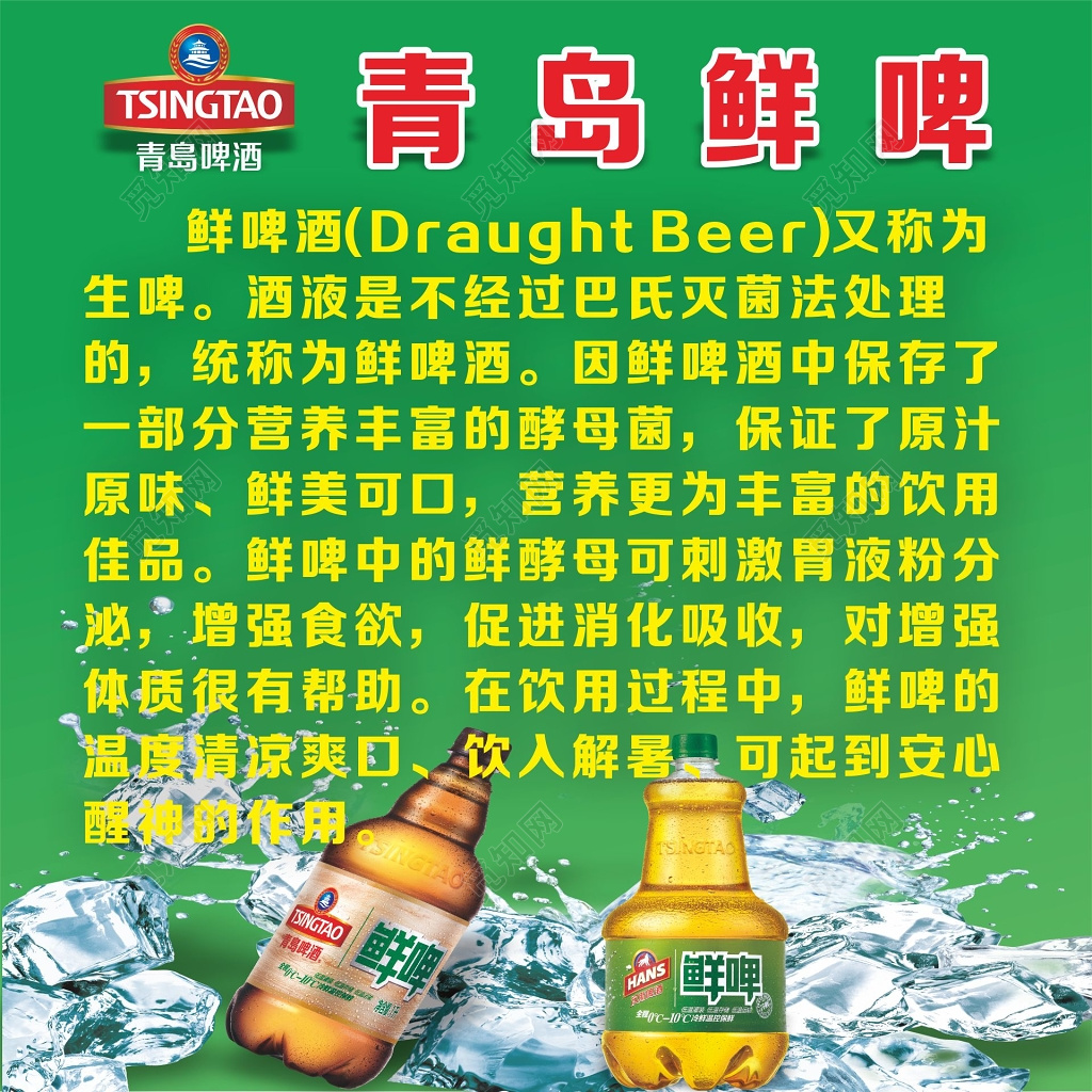 青岛啤酒展架青岛鲜啤海报