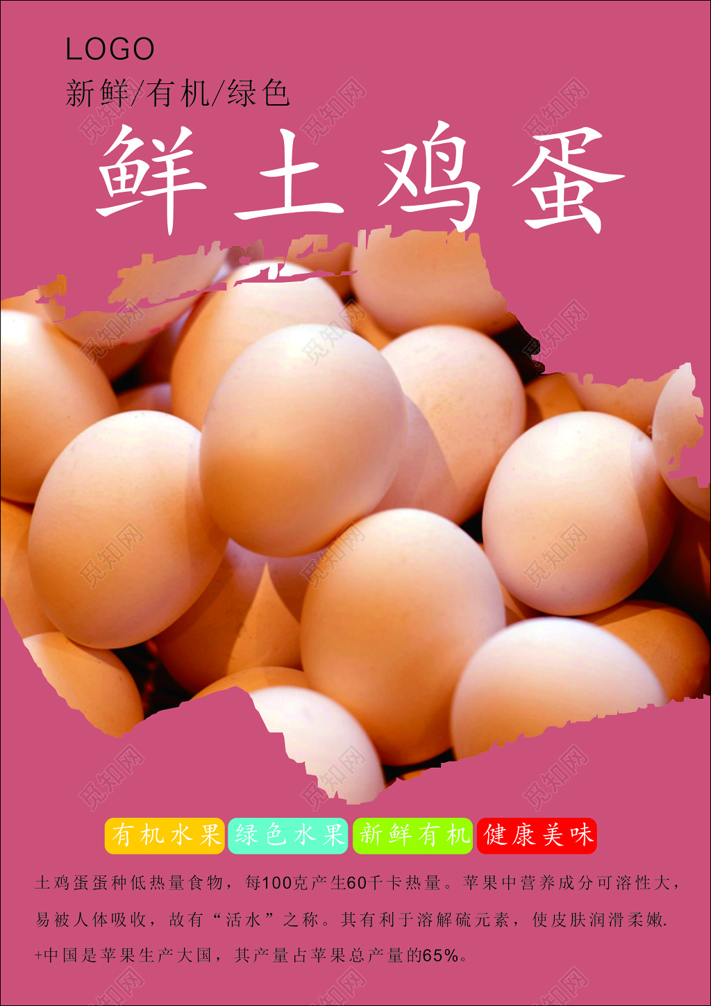 鸡蛋生鲜土特产新鲜有机绿色食品健康美味海报模板
