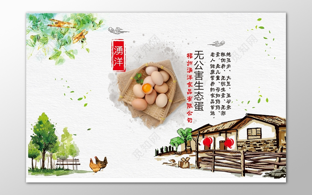 鸡蛋生鲜土特产无公害营养健康绿色食品海报模板