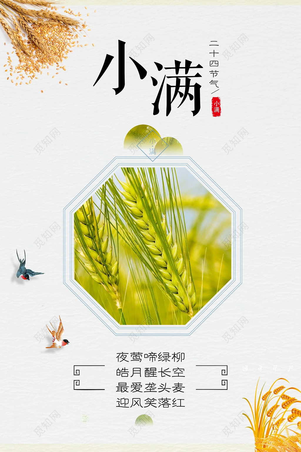 小满二十四气节系列海报设计