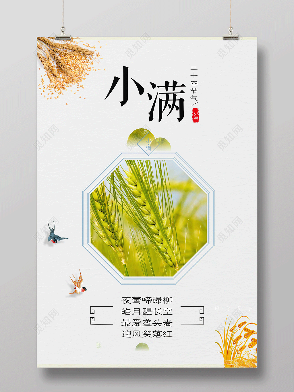 小满二十四气节系列海报设计