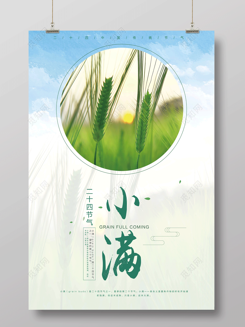 简约小清新小满二十节气传统节气海报