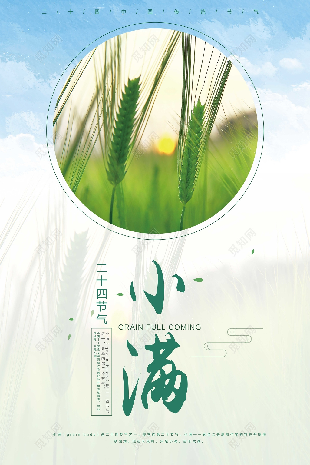 简约小清新小满二十节气传统节气海报