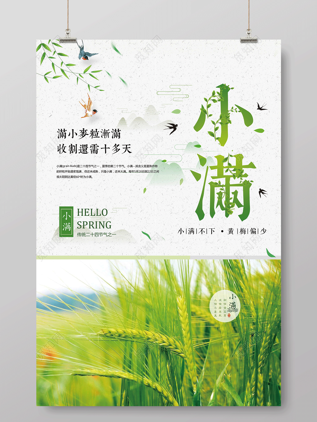 绿色唯美清新节气小满宣传海报