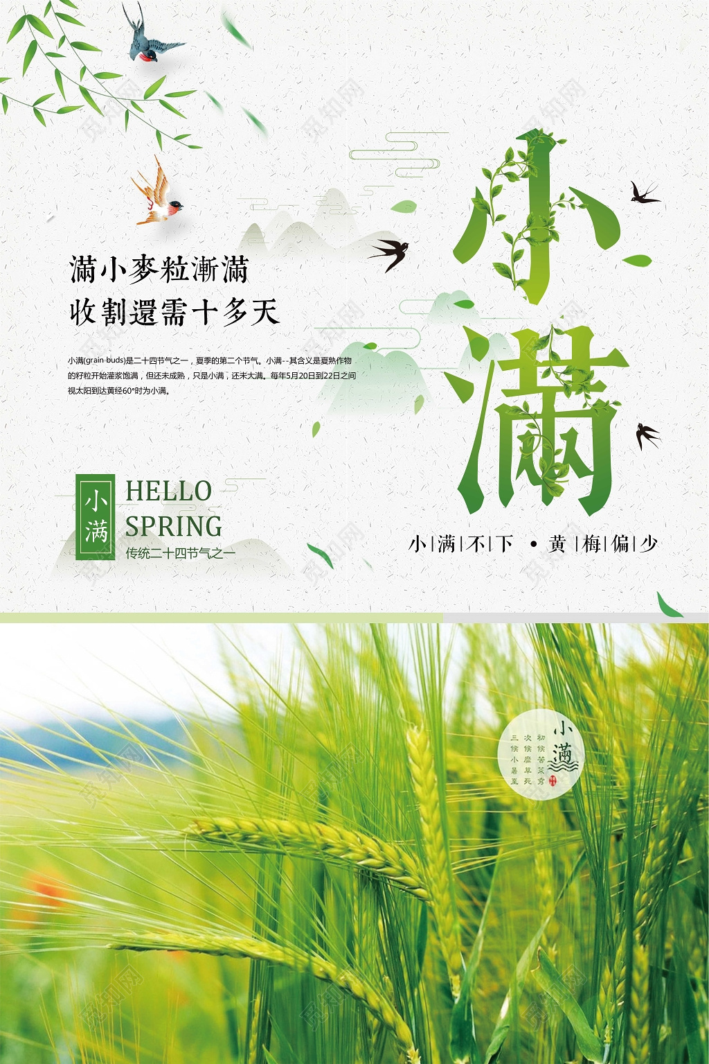 绿色唯美清新节气小满宣传海报