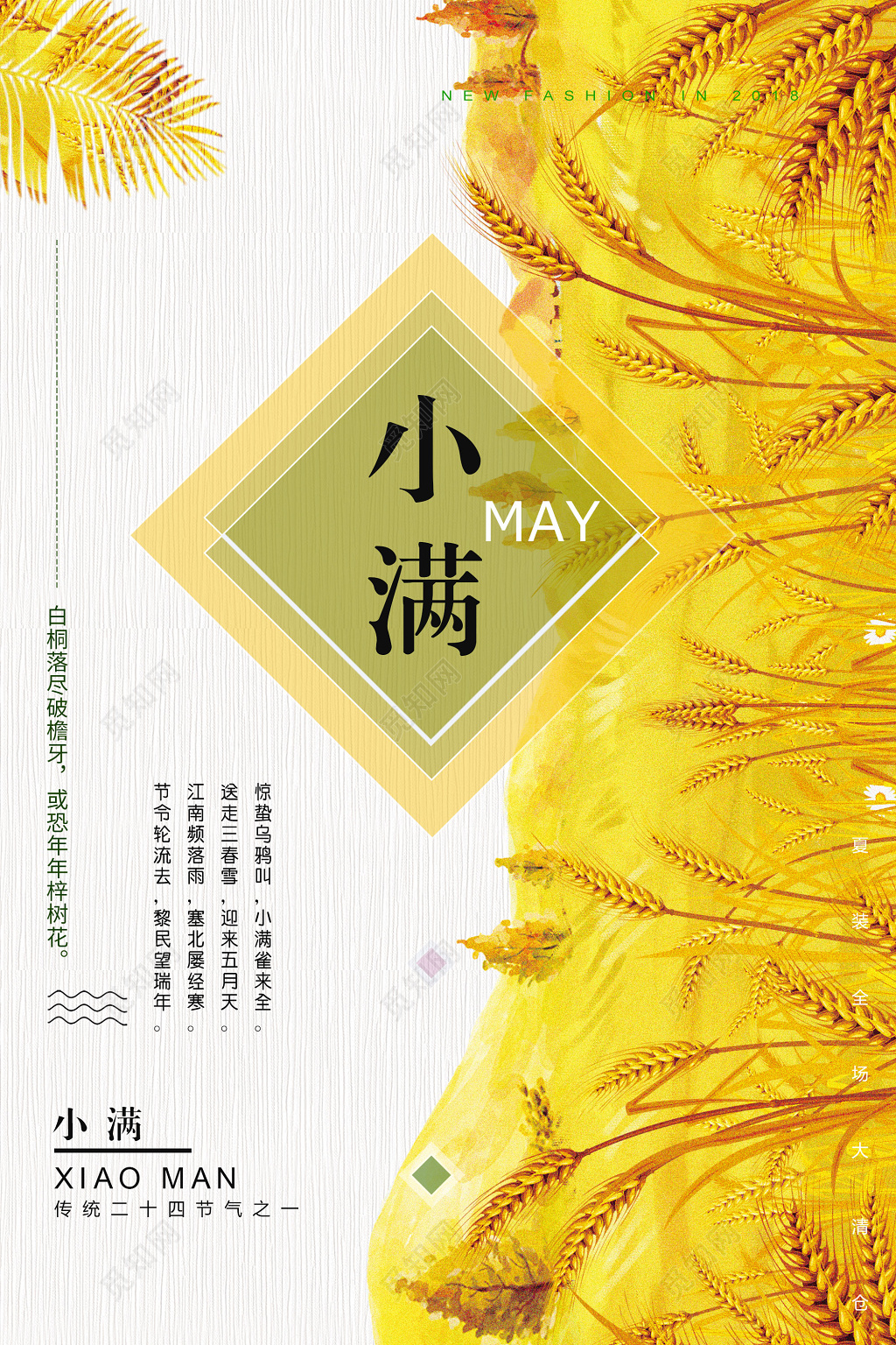 简约清新二十四节气小满宣传海报