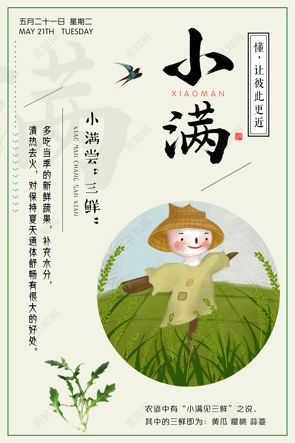 小满二十四节气稻草人养生宣传海报