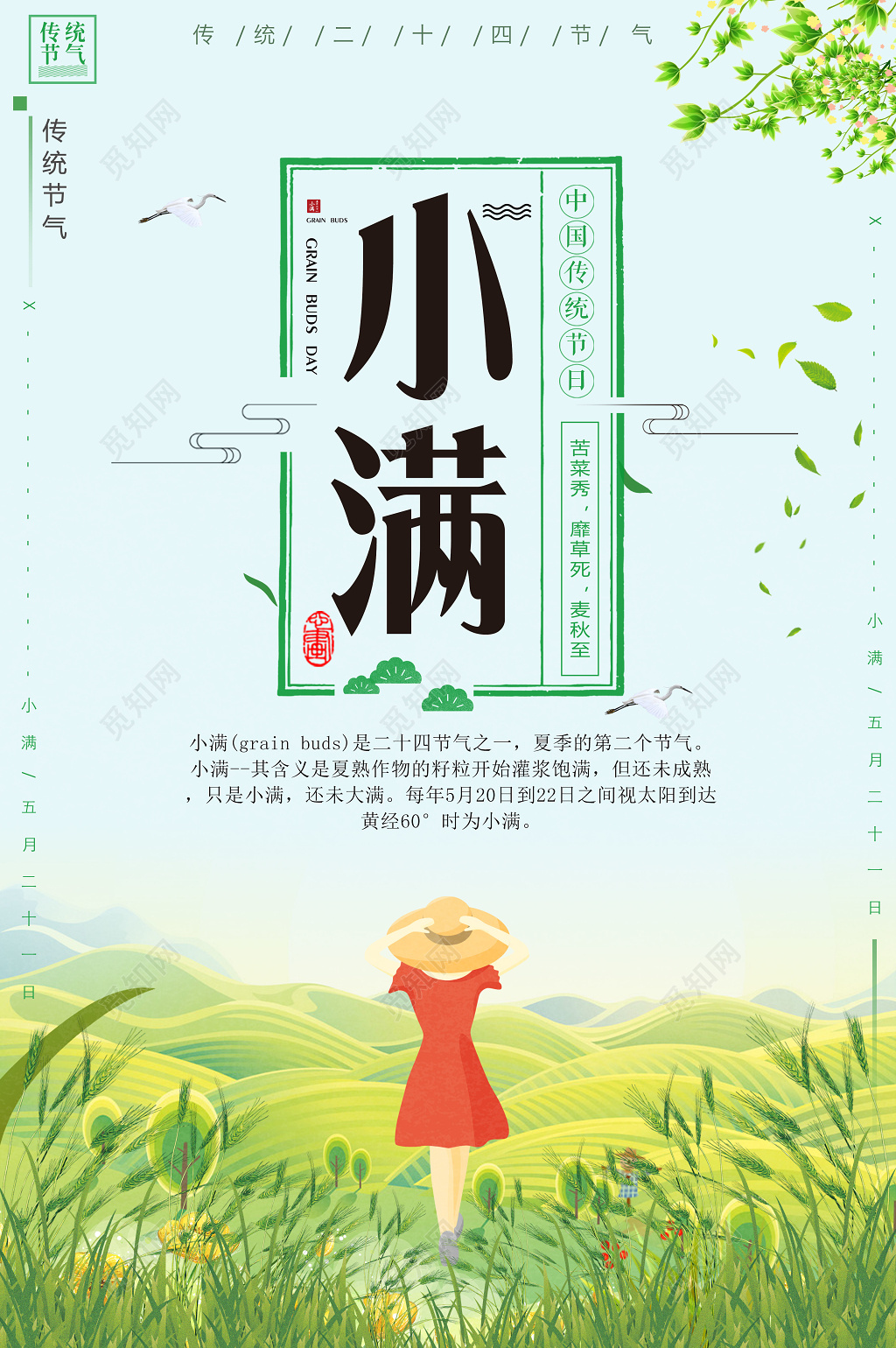 小满二十四节气中国传统节日卡通海报