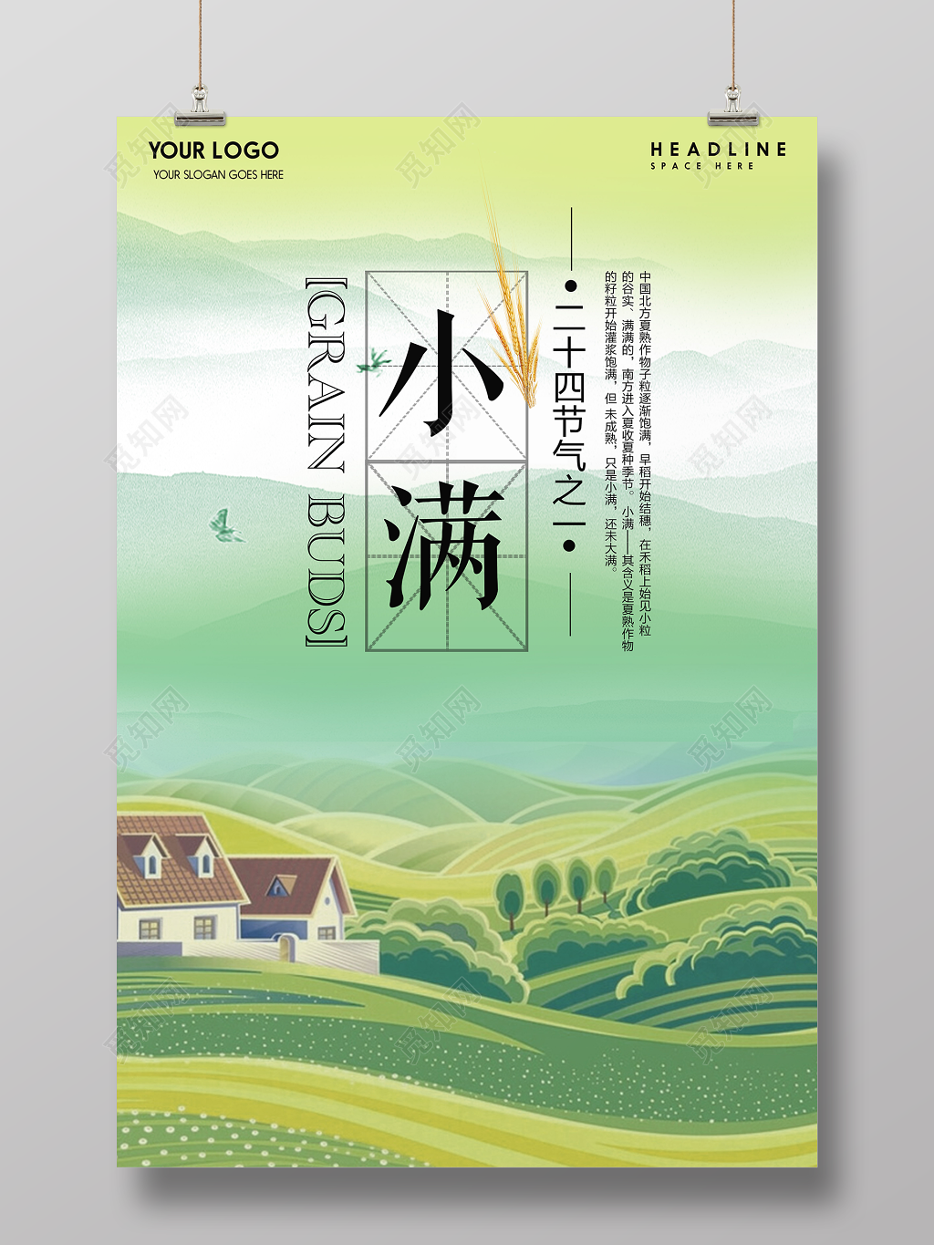 二十四节气小满传统节日海报