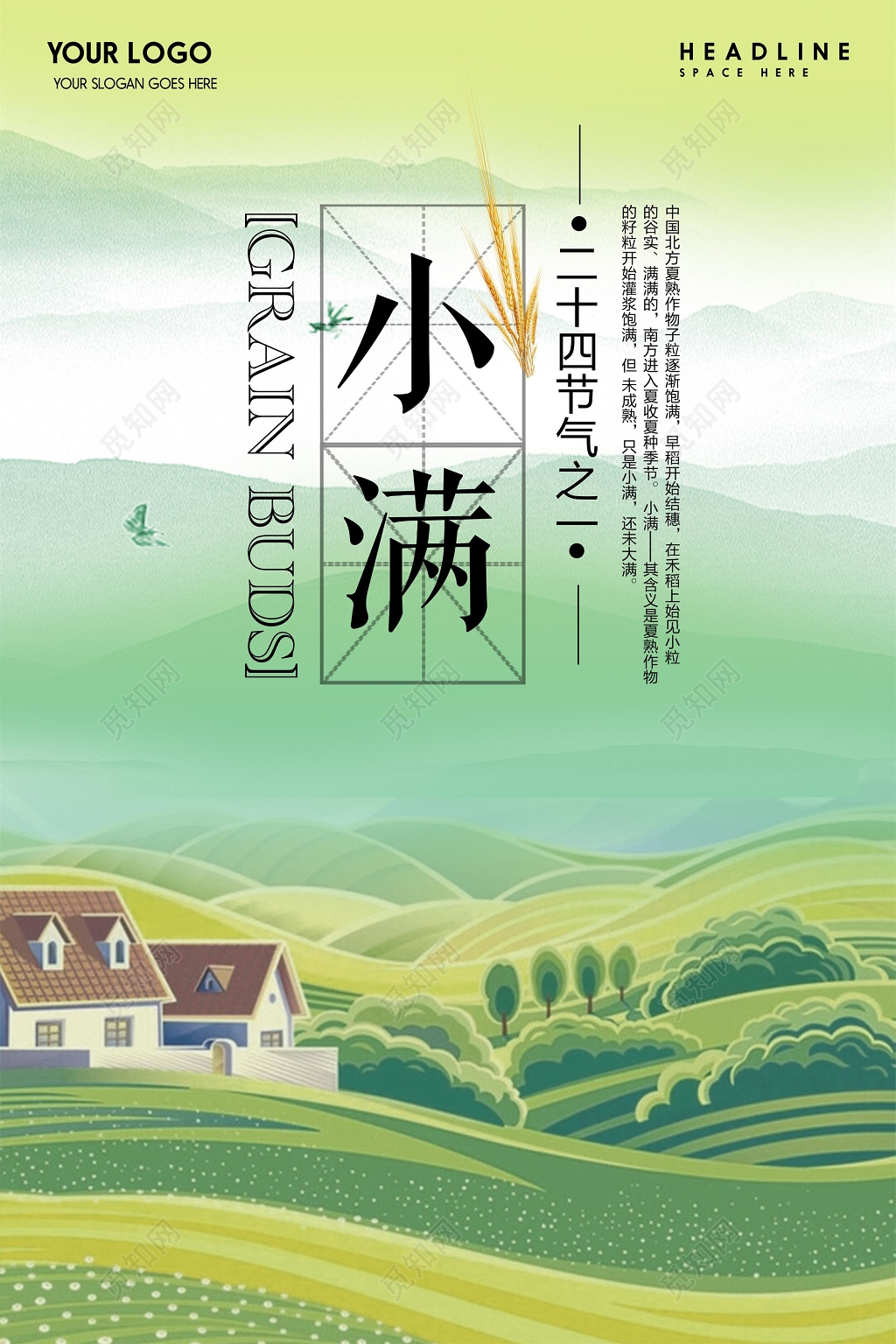 二十四节气小满传统节日海报