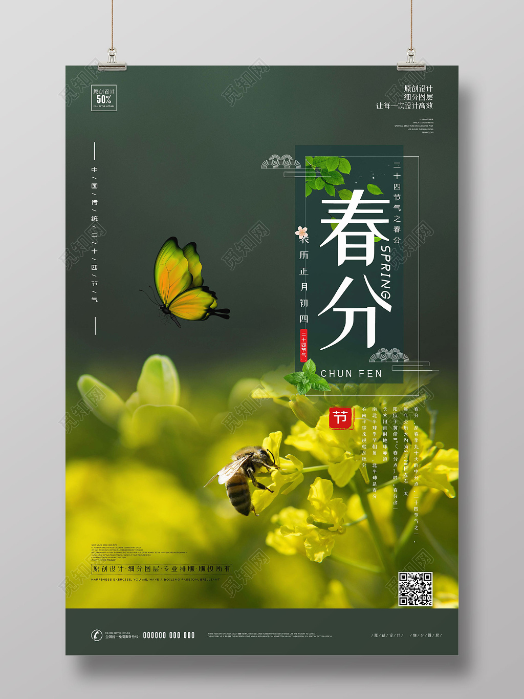 二十四节气春分春天油菜花花朵蝴蝶海报