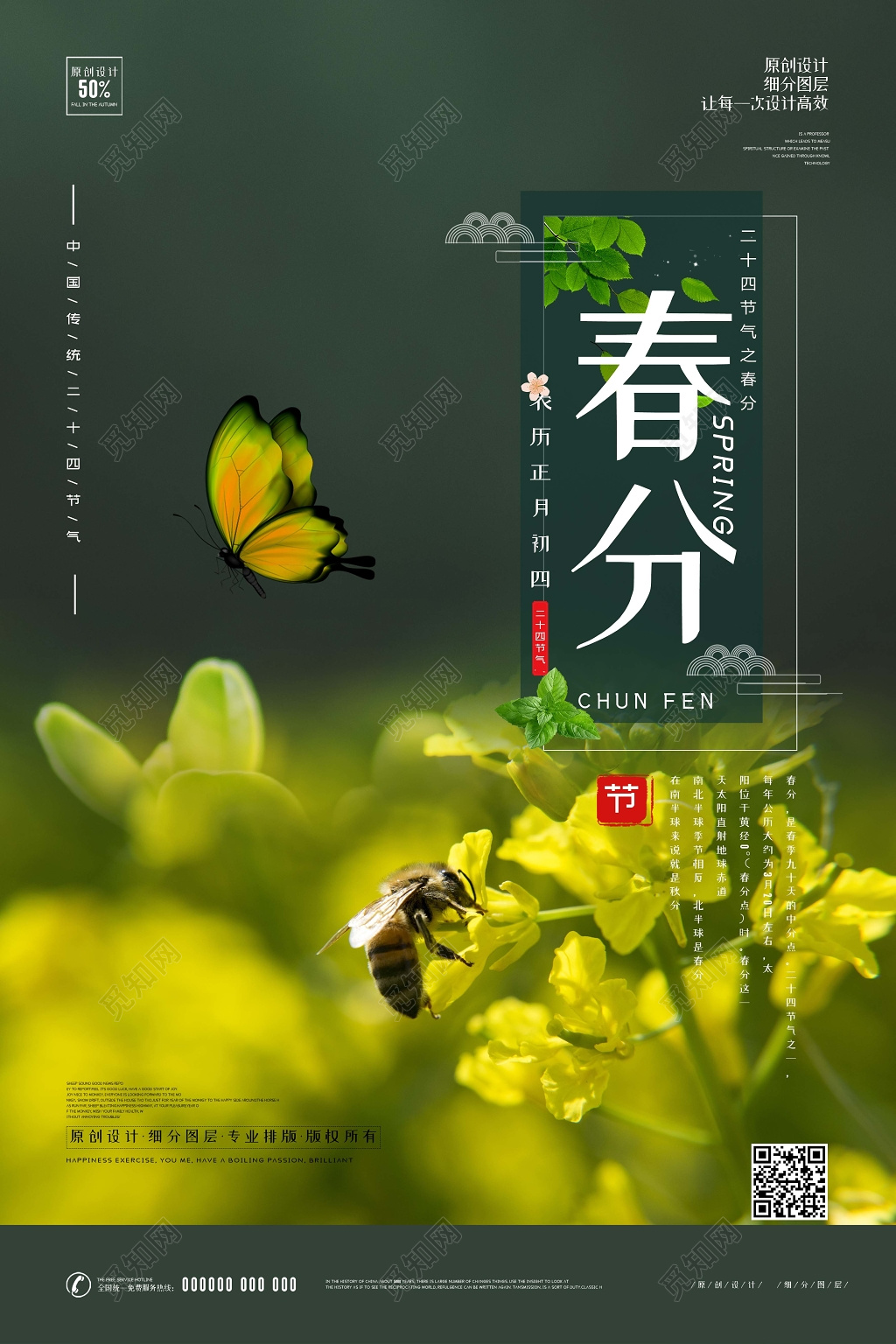 二十四节气春分春天油菜花花朵蝴蝶海报