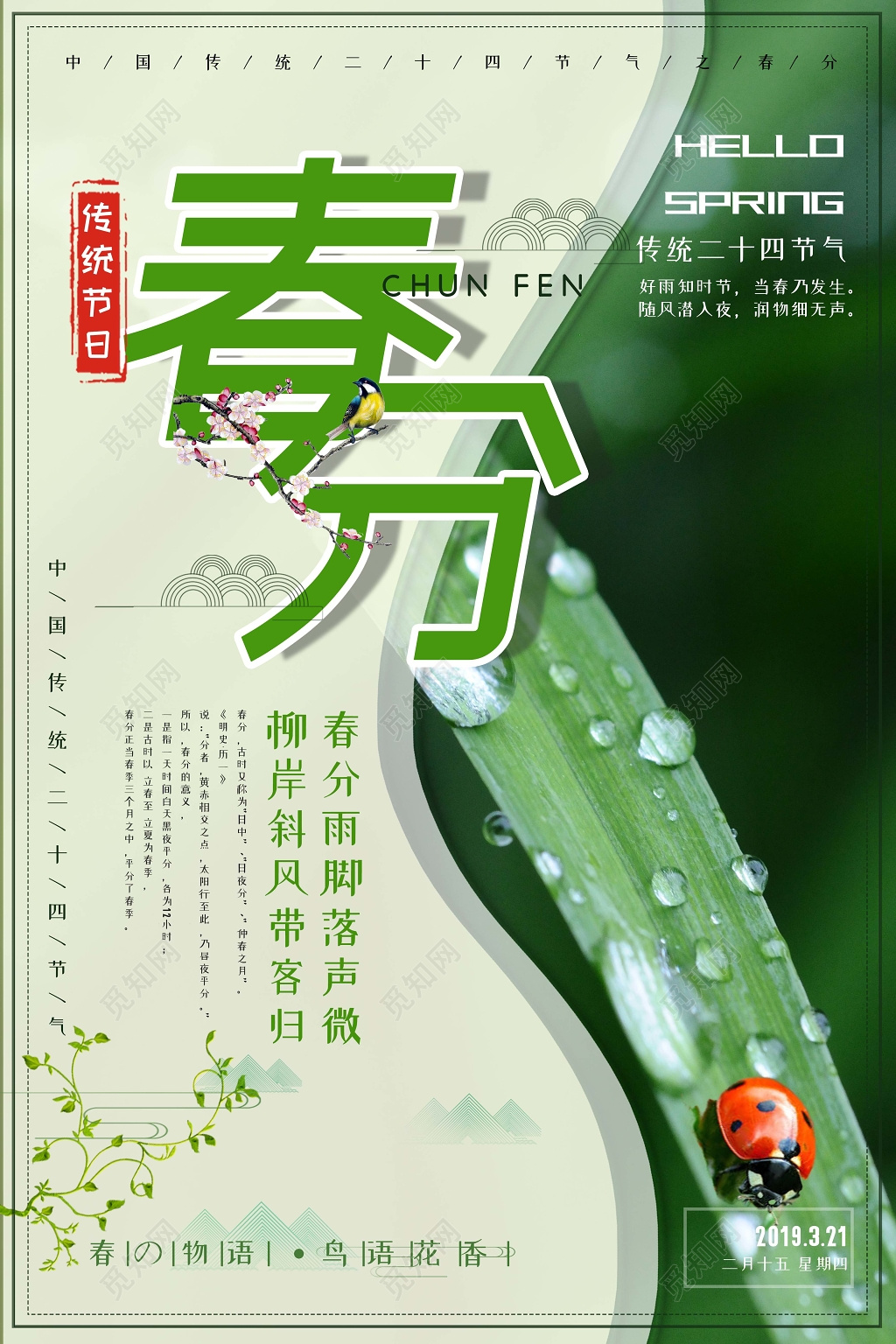 二十四节气春分春天露珠瓢虫创意海报