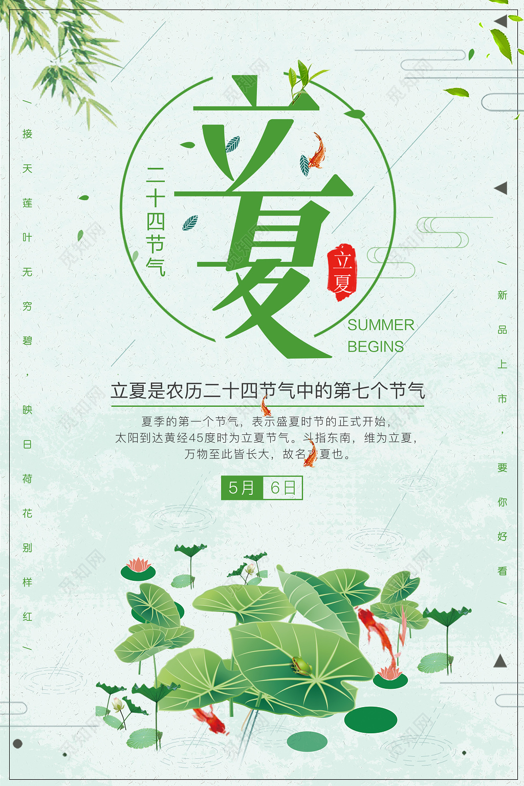 立夏二十四节气5月6日简约荷叶绿色宣传海报