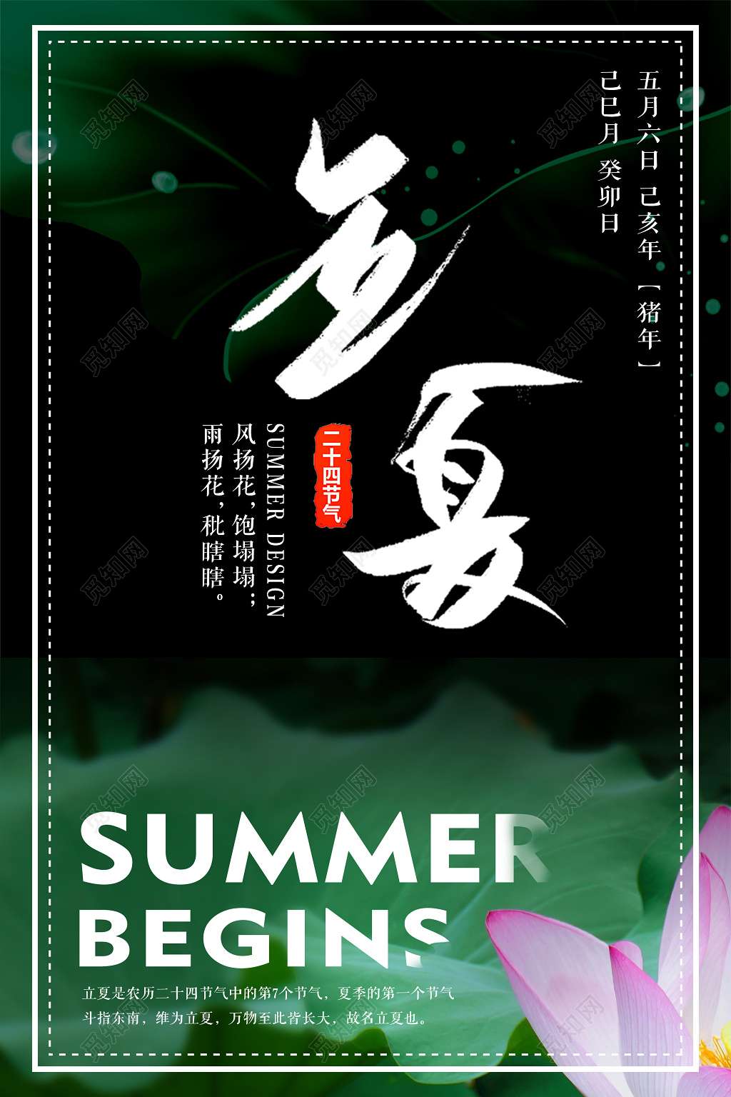 二十四节气立夏荷花黑色背景宣传海报
