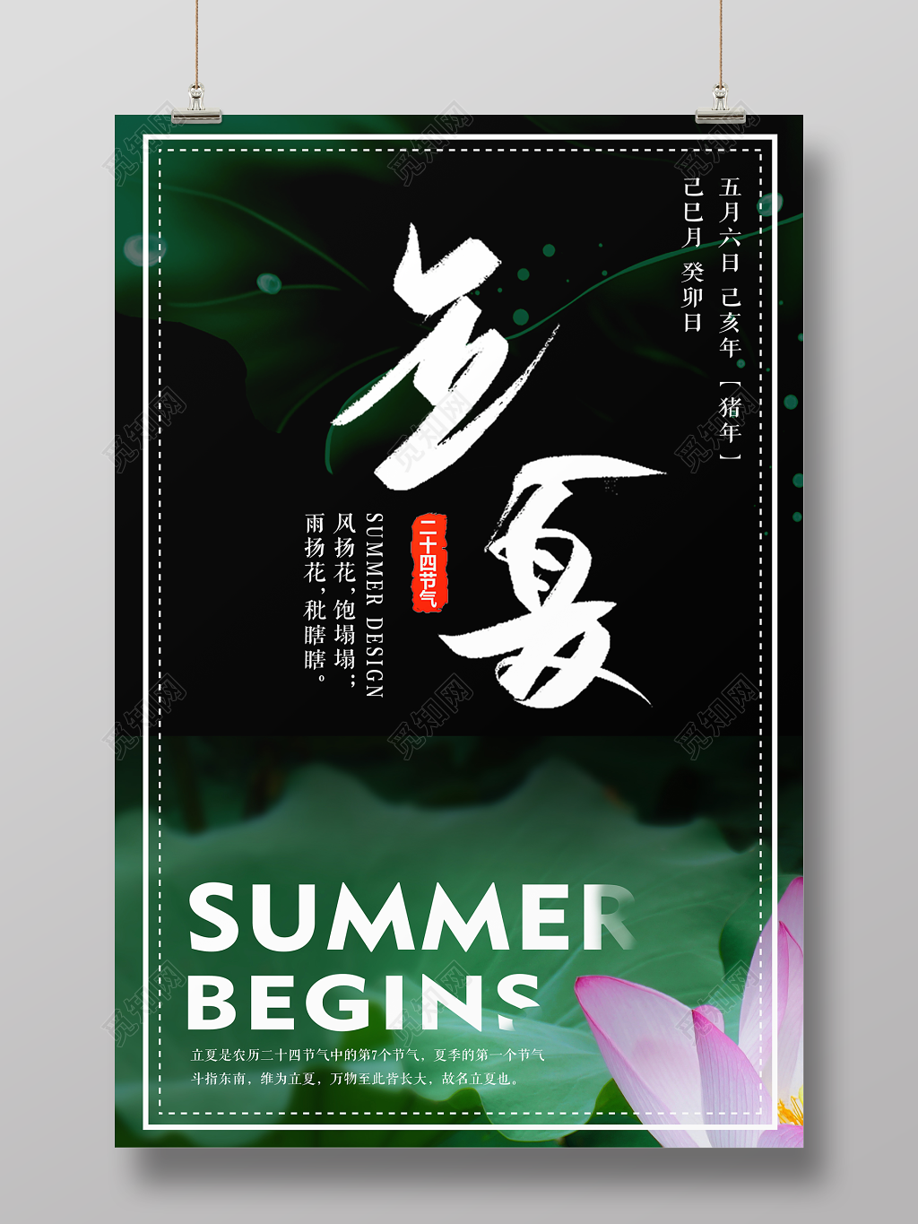 二十四节气立夏荷花黑色背景宣传海报