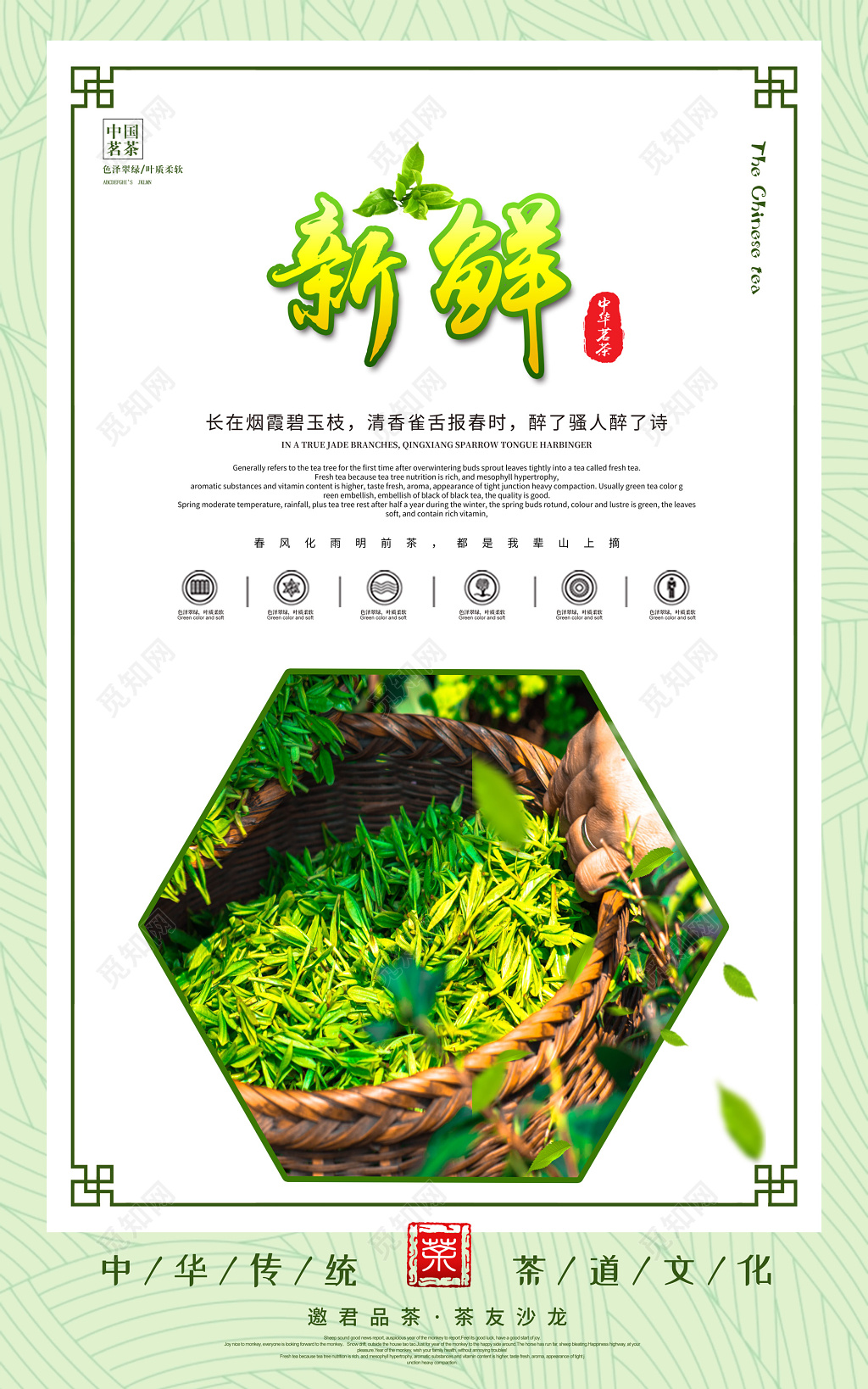 春茶新鲜清新健康绿色品味天然茶叶宣传挂画展板