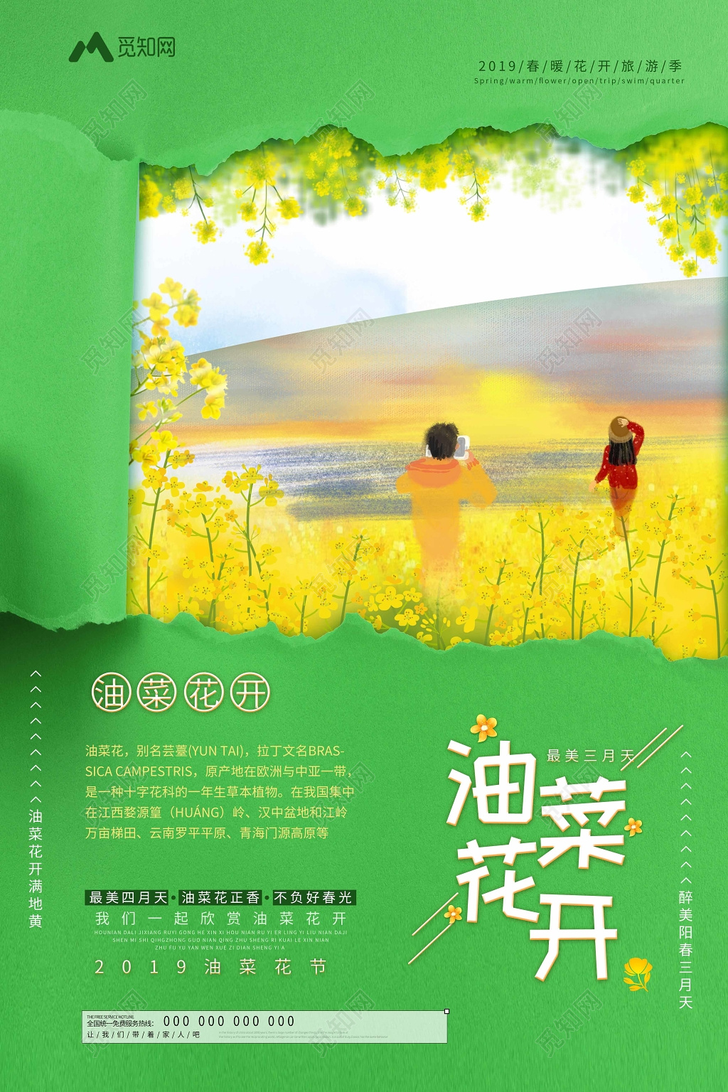 三月春天油菜花开踏青油菜花节小清新海报