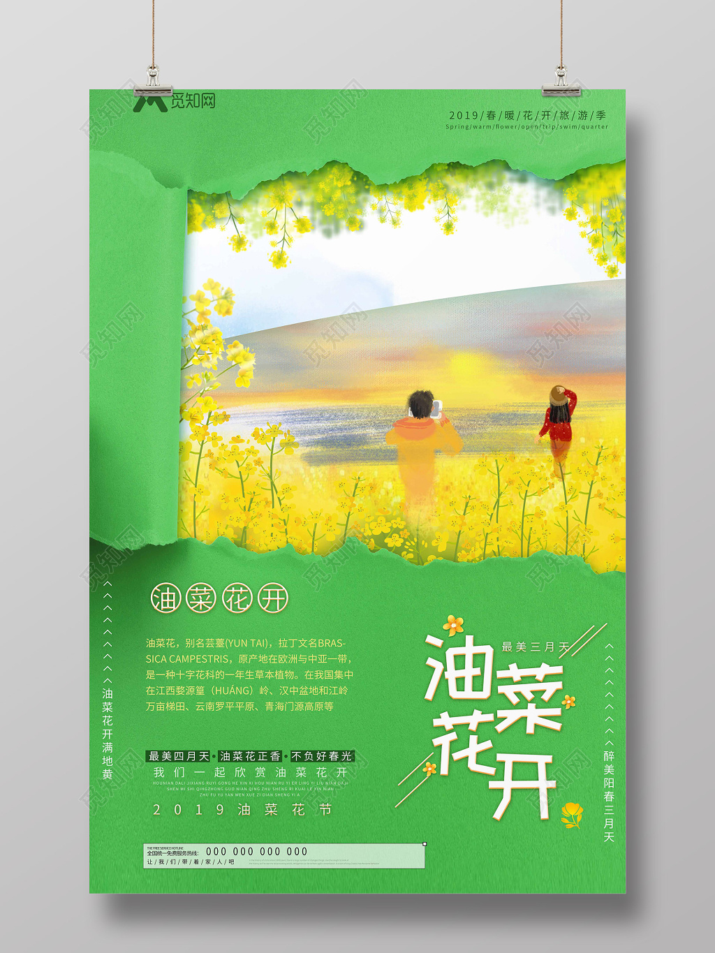三月春天油菜花开踏青油菜花节小清新海报