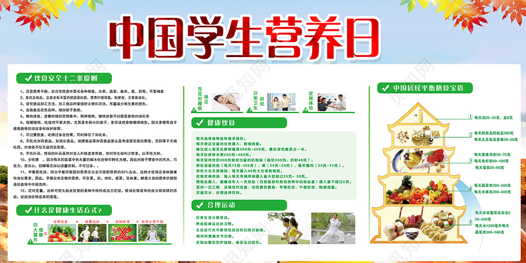精美全国学生营养日展板设计
