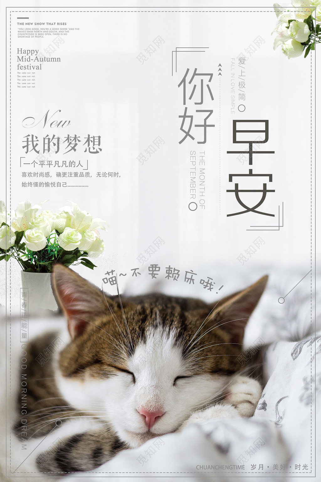 早安图你好早安青春正能量猫咪睡觉清新海报