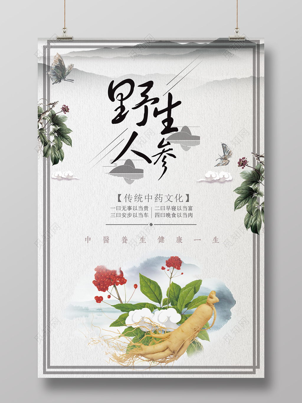 保健品野生人参传统中药文化简约海报