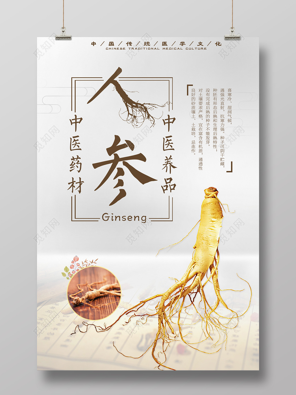 保健品中医药材人参医学文化简约海报