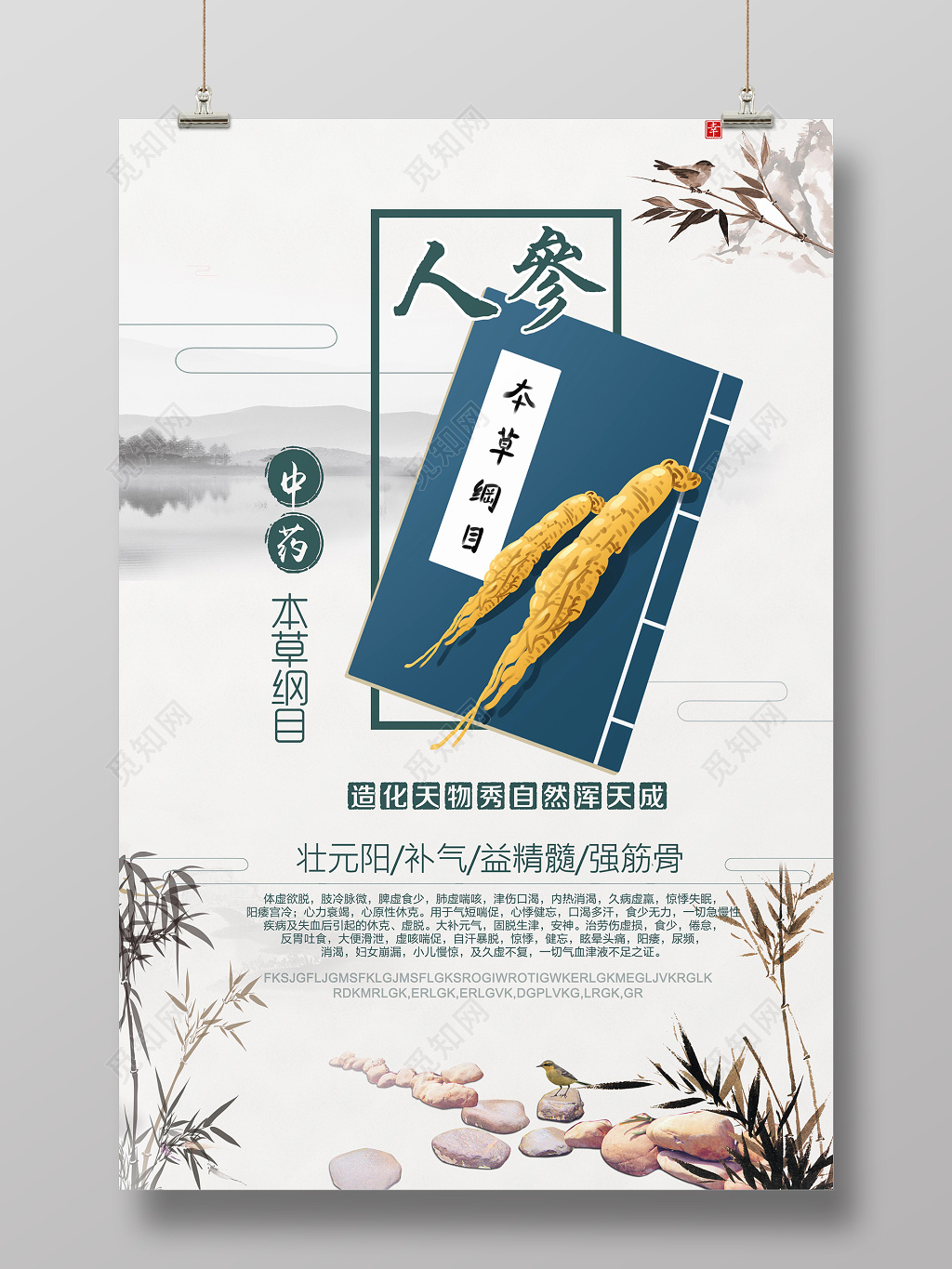 保健品中药人参本草纲目简约海报