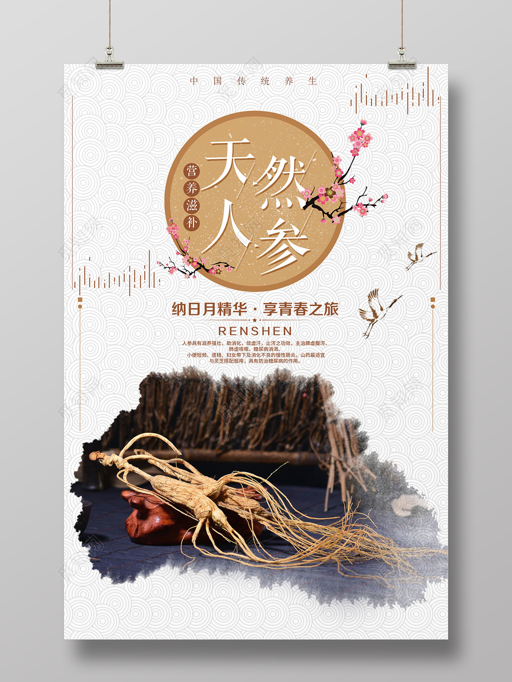 保健品天然人参营养滋补简约海报