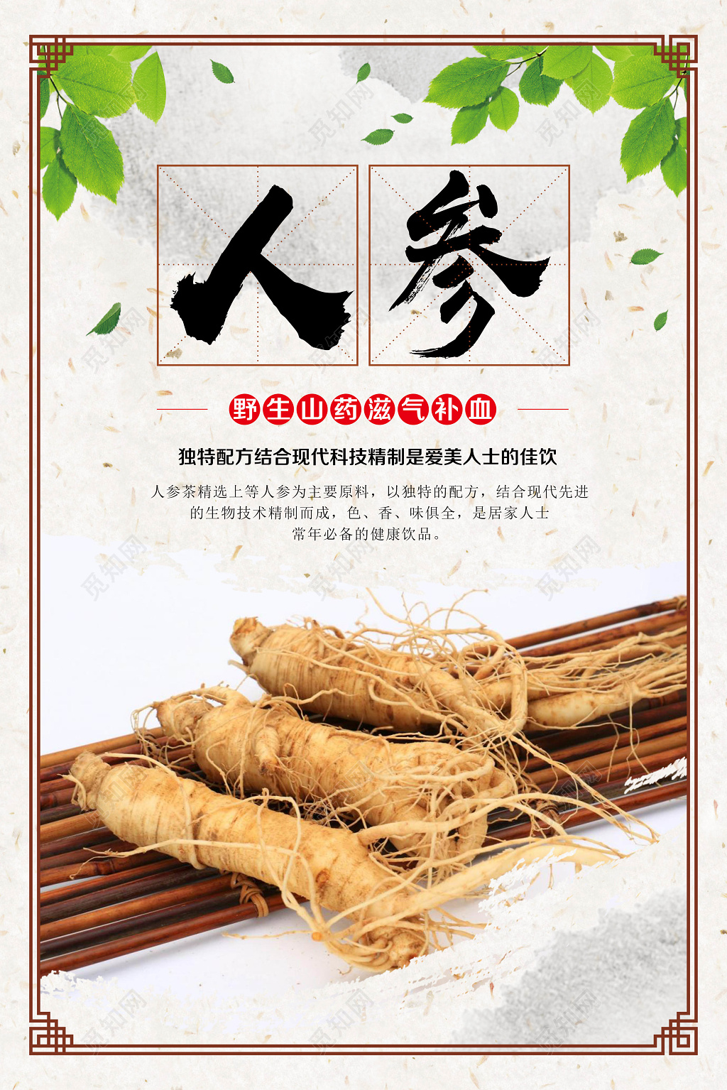保健品野生人参滋气补血简约海报