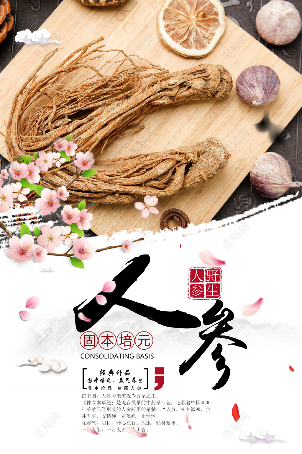 保健品固本培元人参简约海报