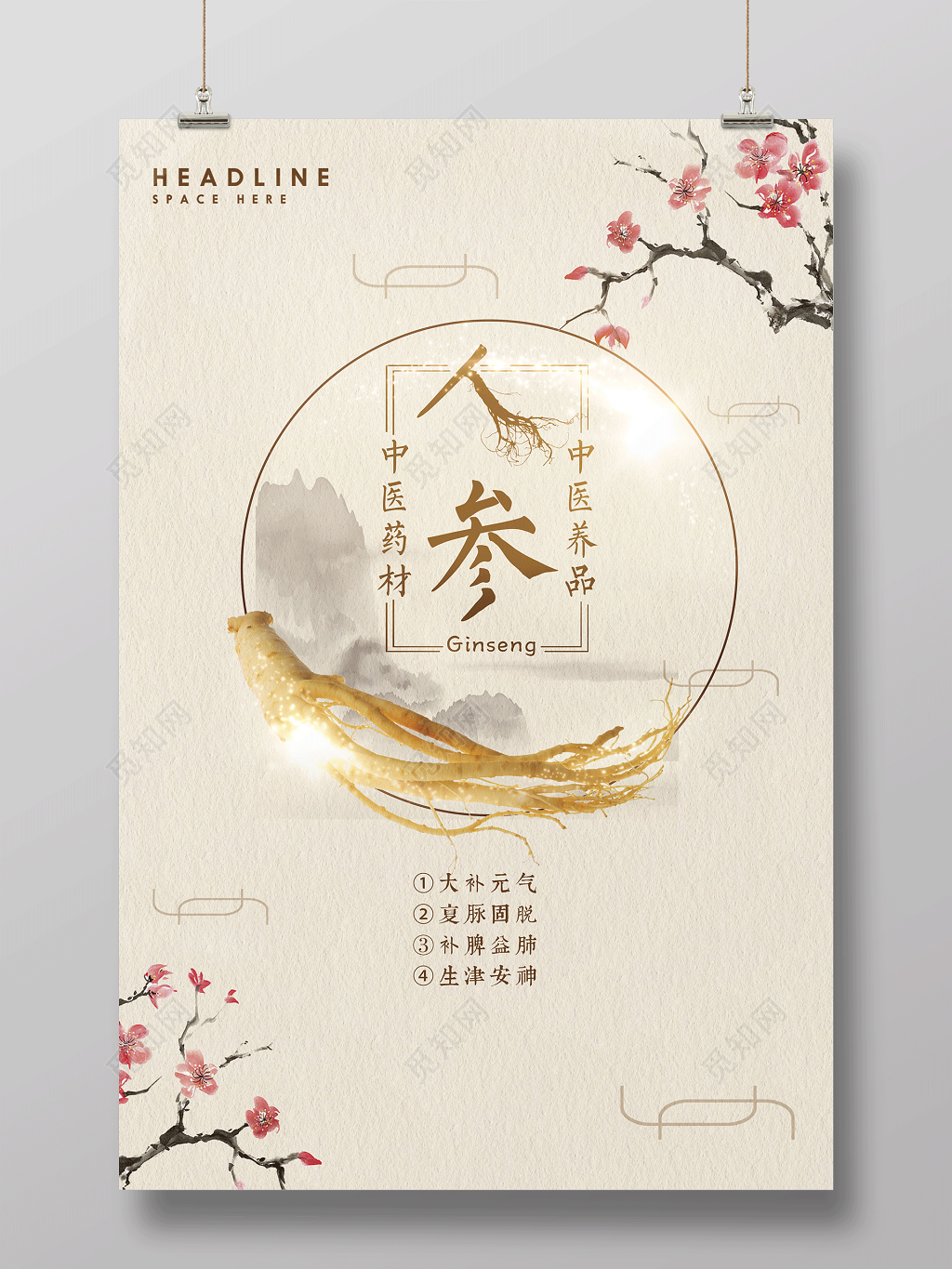 保健品人参中医养品宣传海报