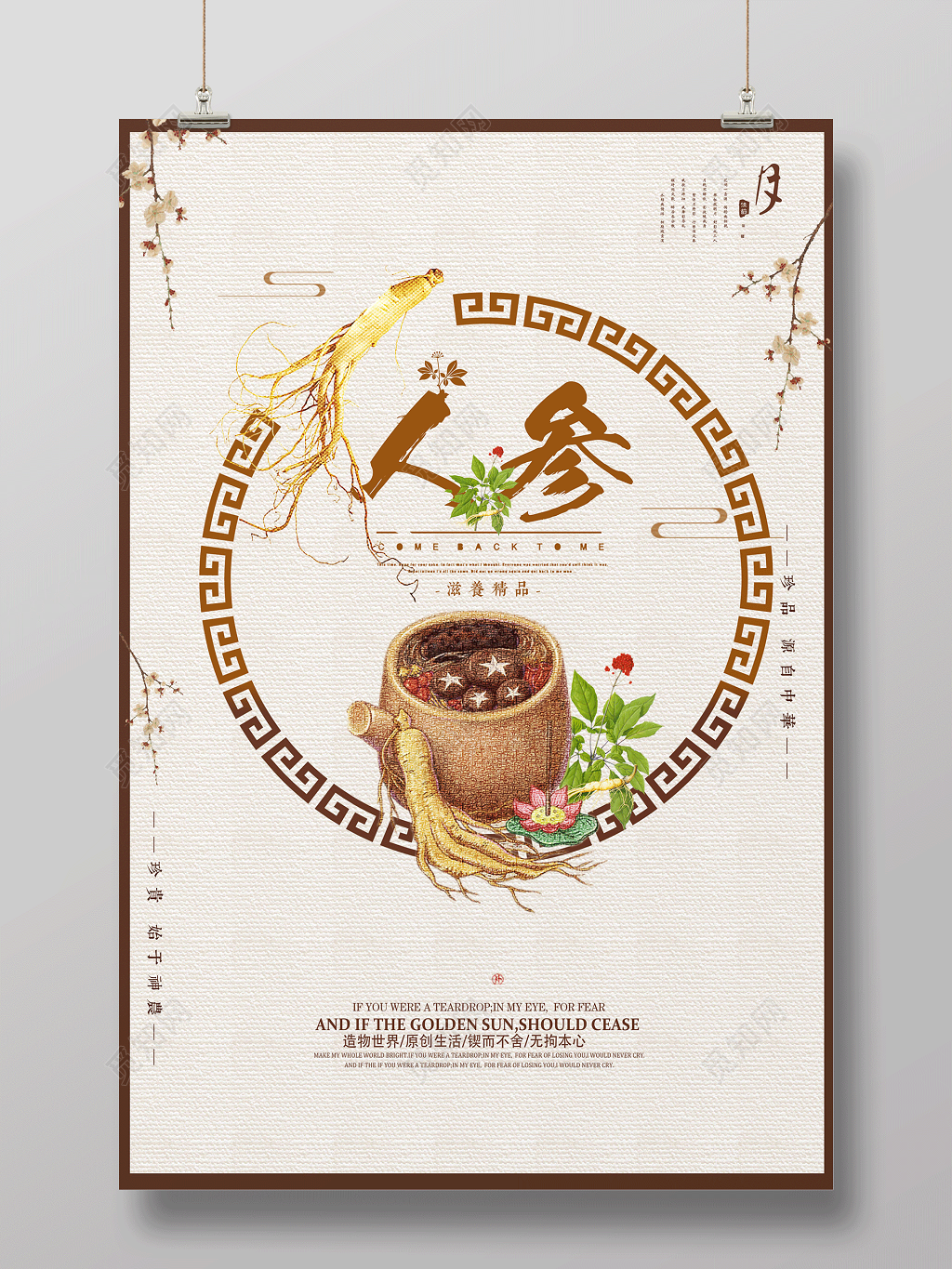 保健品人参滋养精品宣传海报