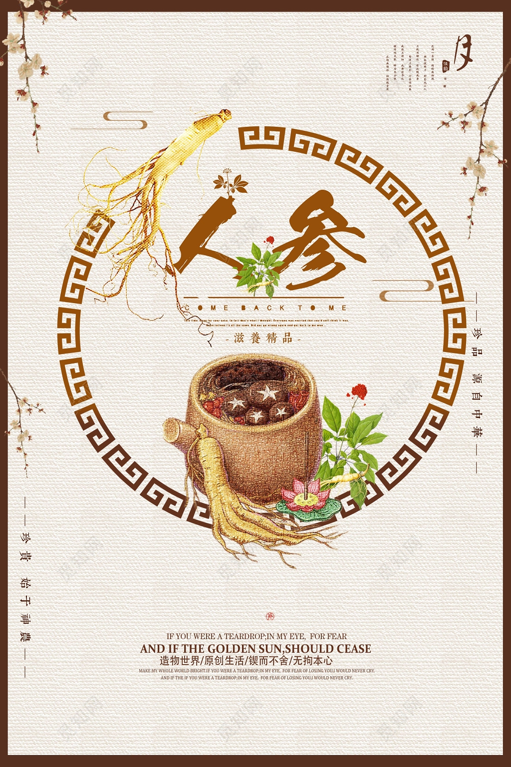 保健品人参滋养精品宣传海报