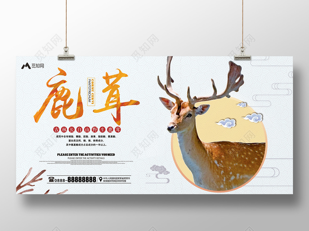 保健品野生鹿茸促销宣传展板