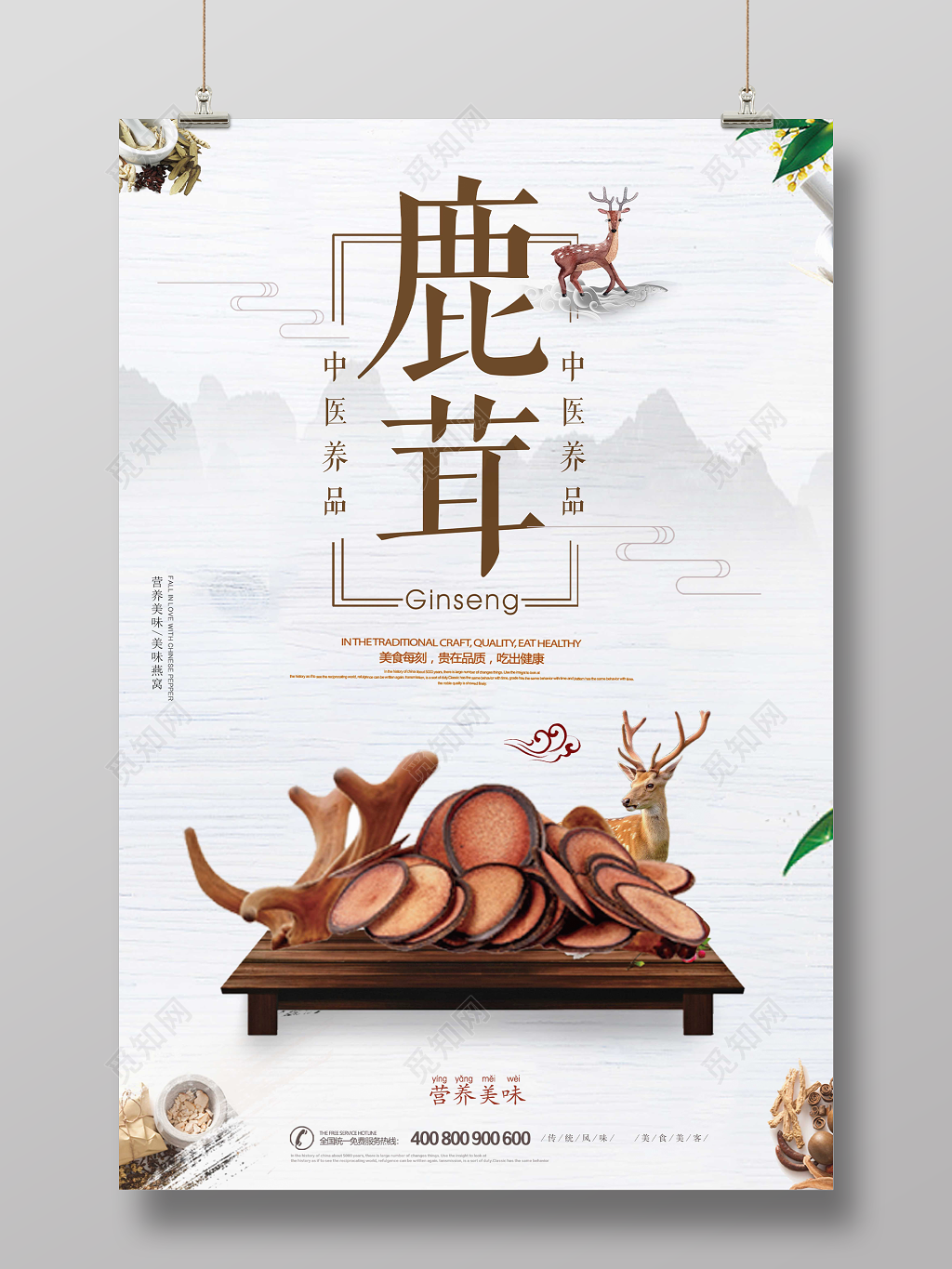 保健品鹿茸中医养品宣传海报