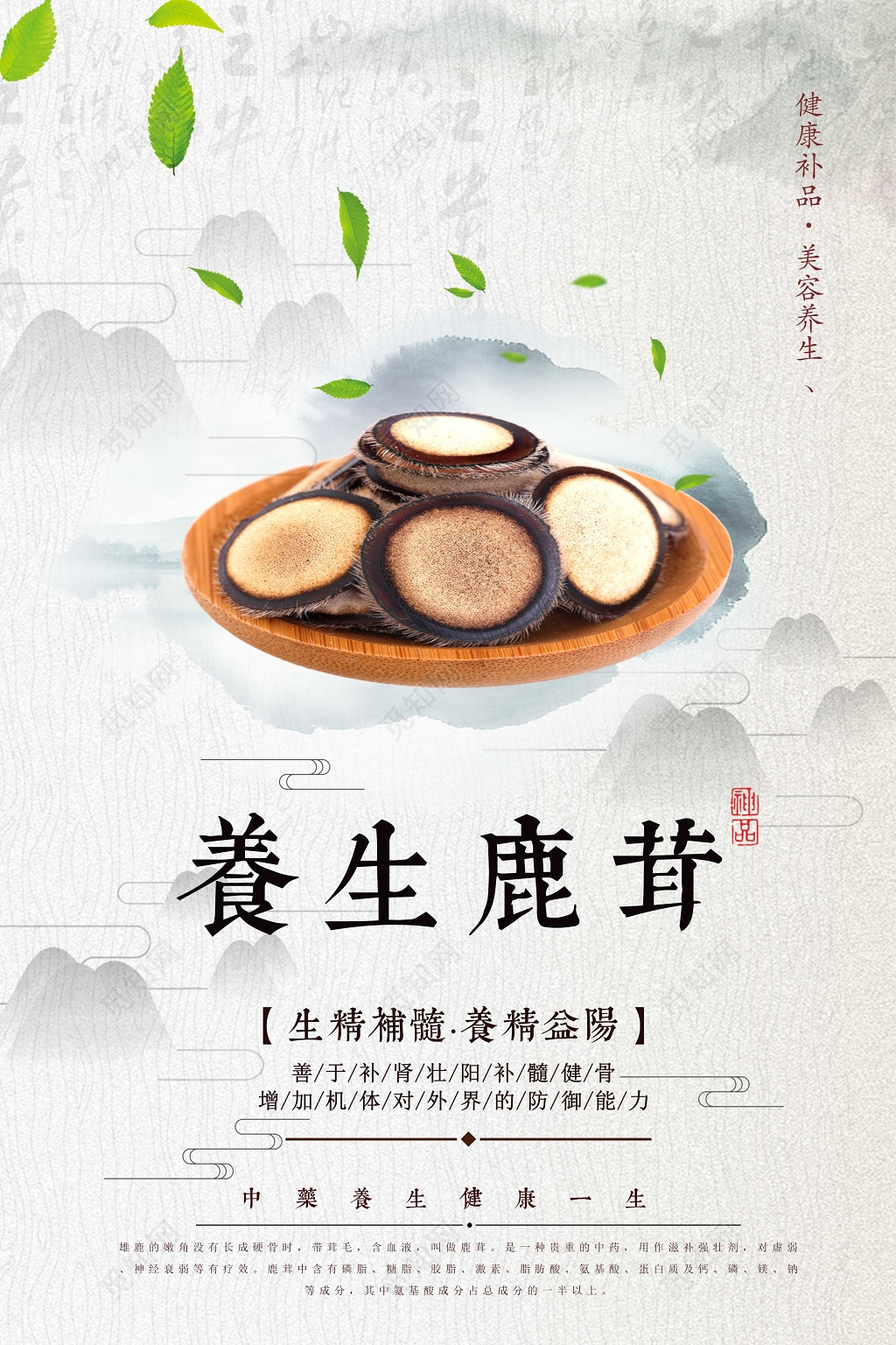 中药传统养生鹿茸保健品海报设计