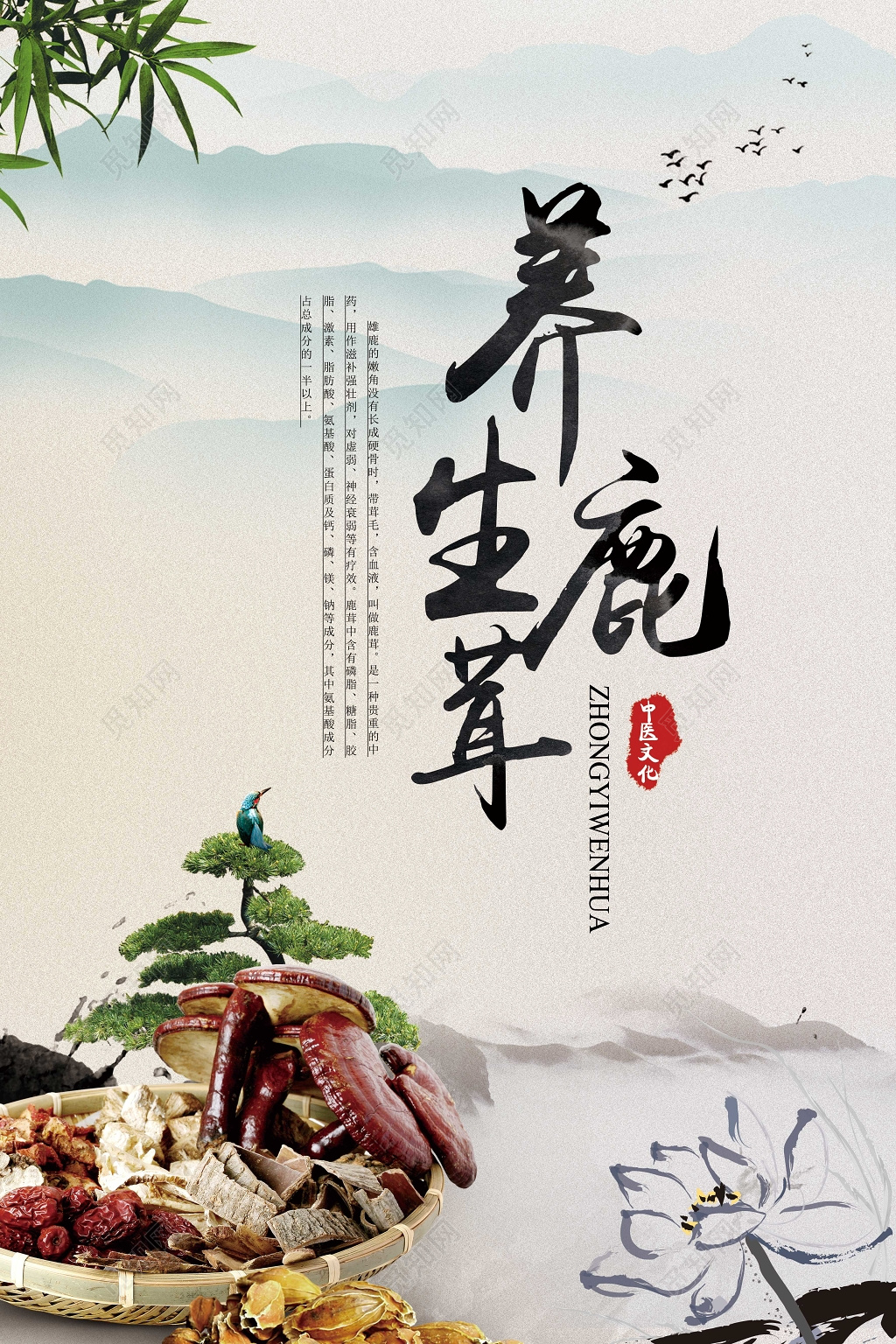 养生鹿茸健康养生保健品海报设计